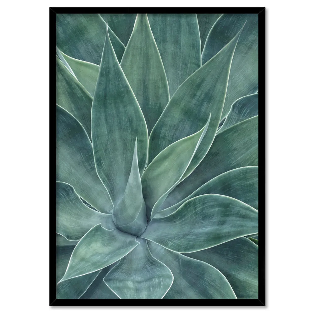 Agave Detail I - Art Print