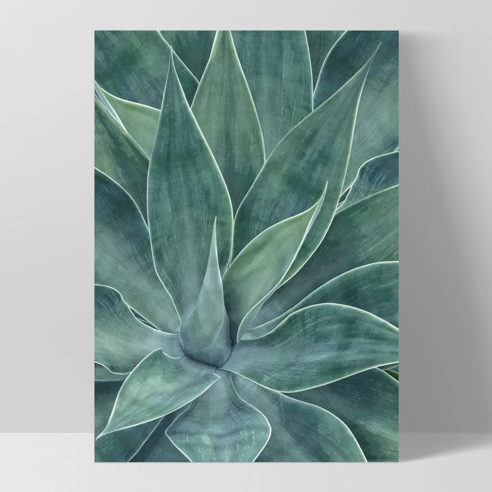 Agave Detail I - Art Print