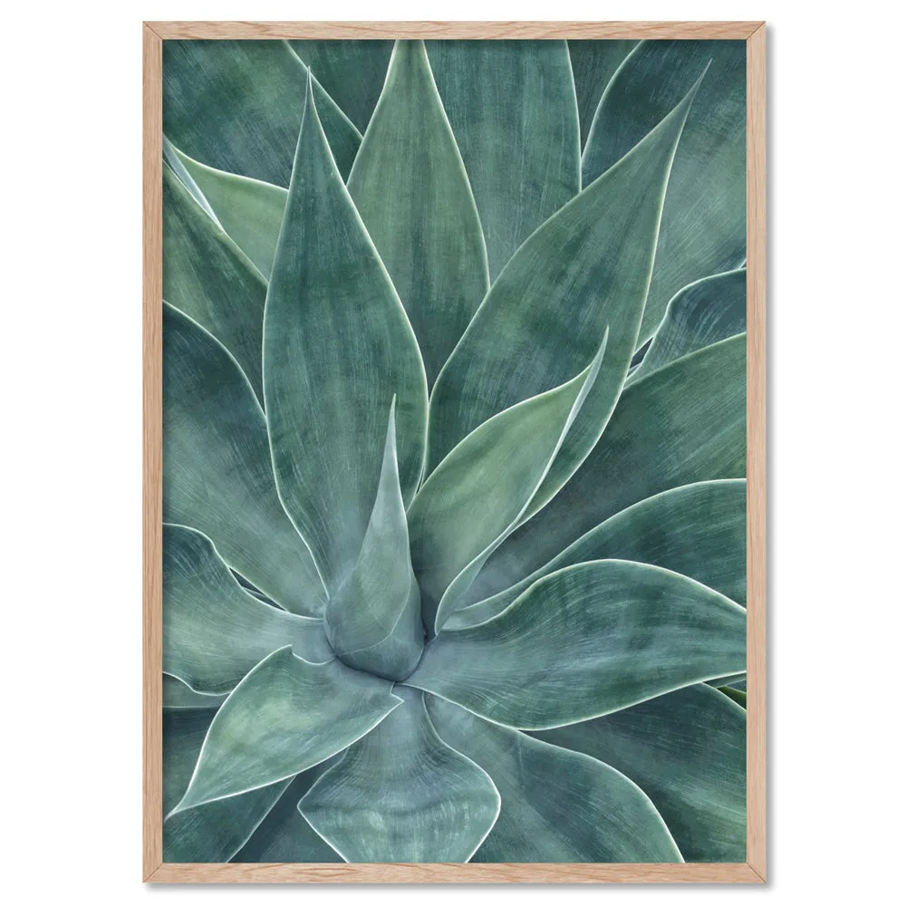 Agave Detail I - Art Print