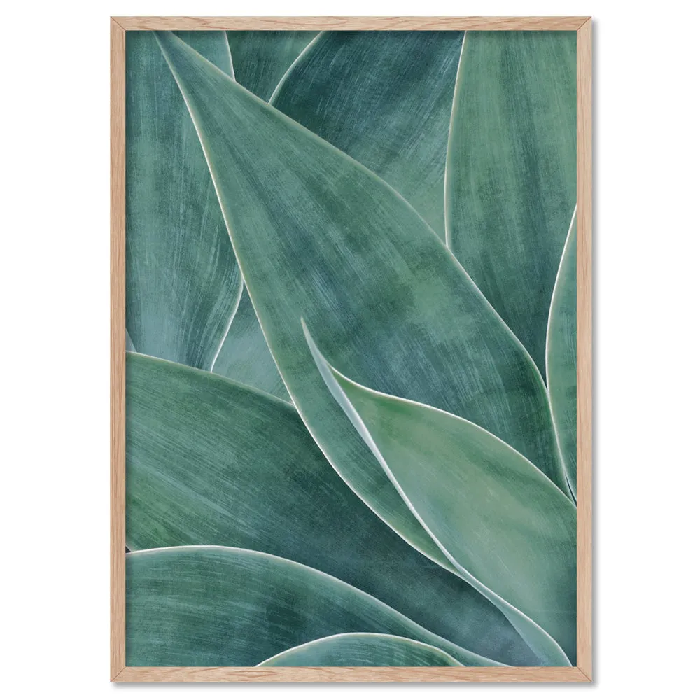 Agave Detail II - Art Print