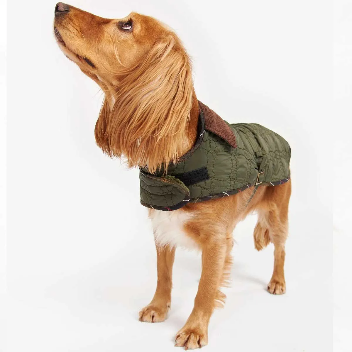 BARBOUR Dog Bone Quilted Dog Coat - Olive