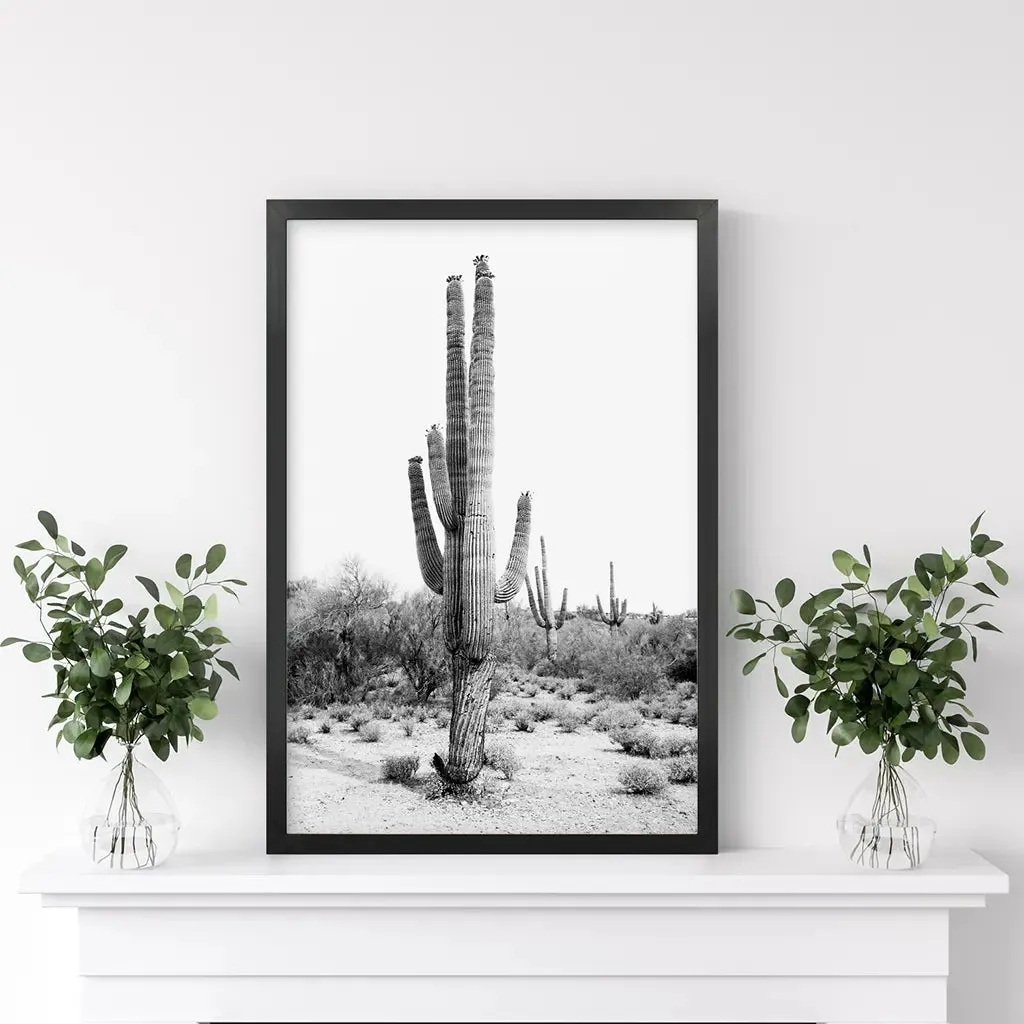 Black White Saguaro Cactus Poster. Arizona Desert Nature