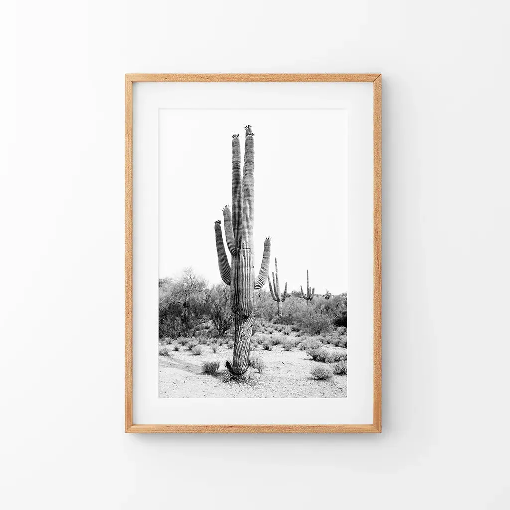 Black White Saguaro Cactus Poster. Arizona Desert Nature