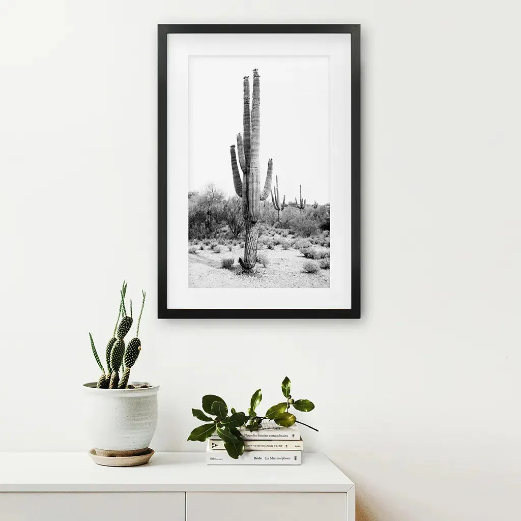 Black White Saguaro Cactus Poster. Arizona Desert Nature