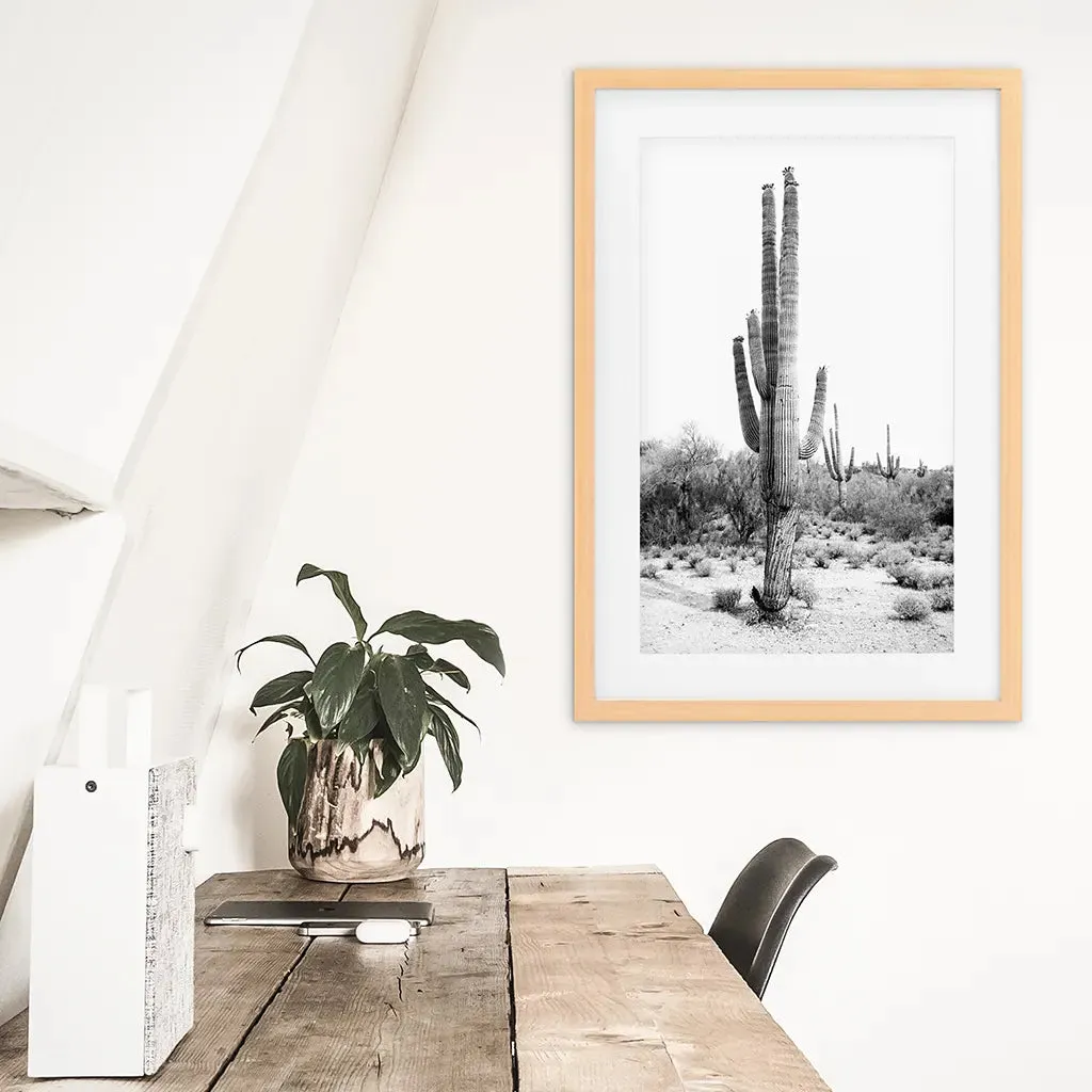 Black White Saguaro Cactus Poster. Arizona Desert Nature