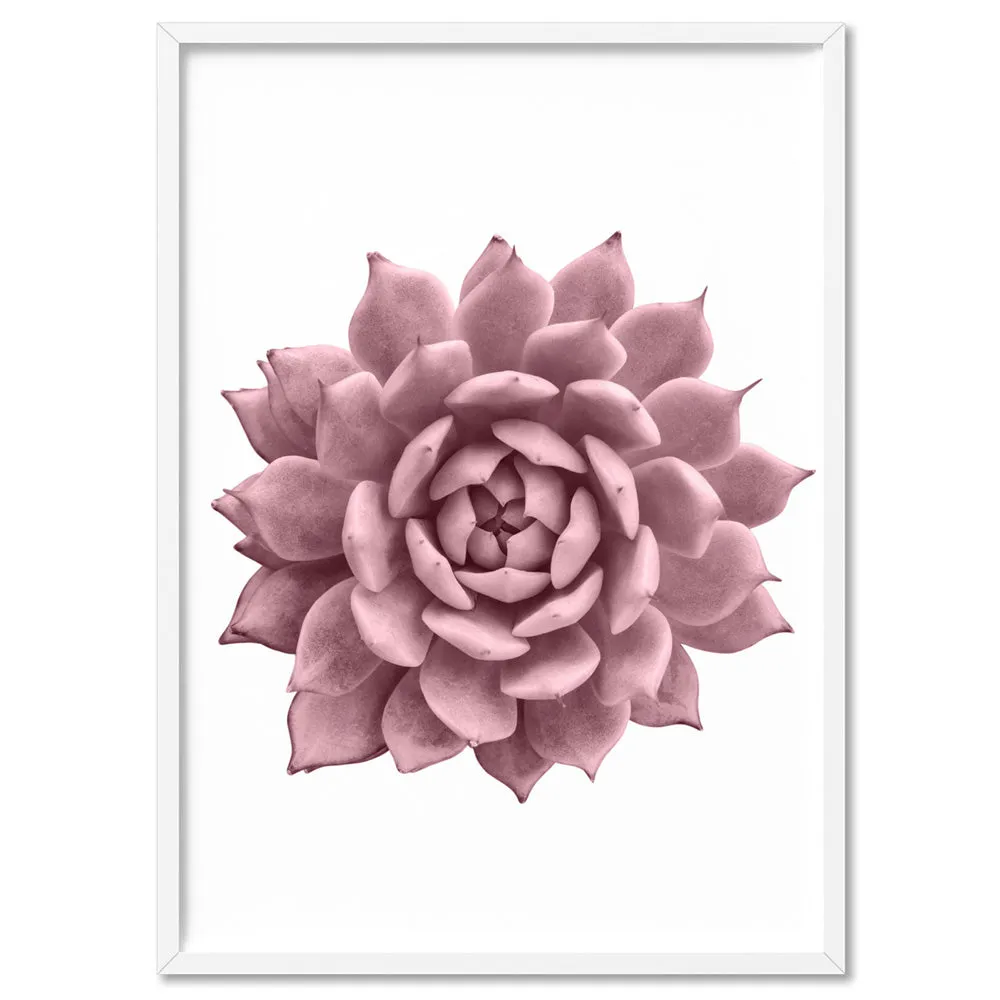 Blush Succulent I - Art Print