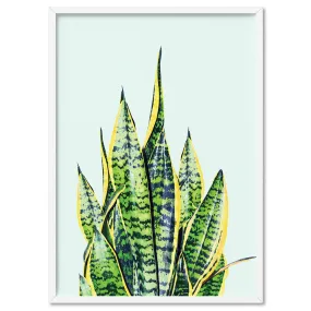 Cactus Succulent Snake Plant - Art Print