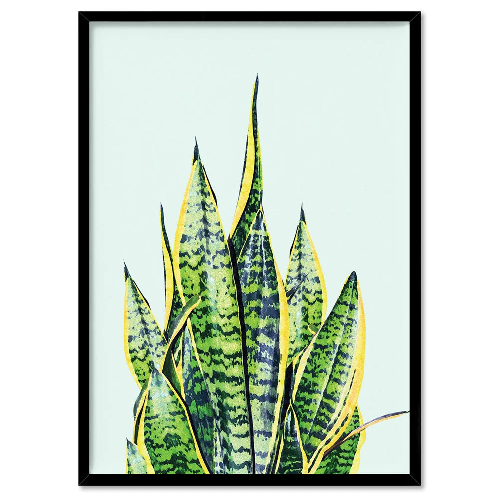 Cactus Succulent Snake Plant - Art Print