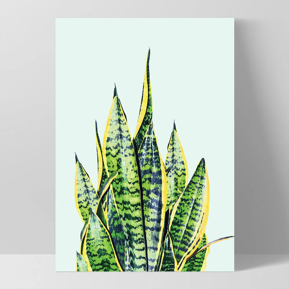 Cactus Succulent Snake Plant - Art Print