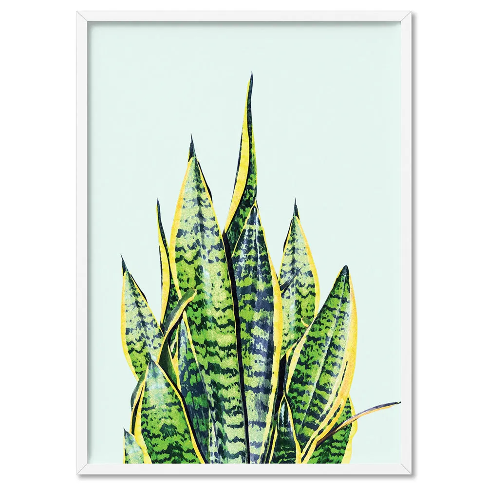 Cactus Succulent Snake Plant - Art Print