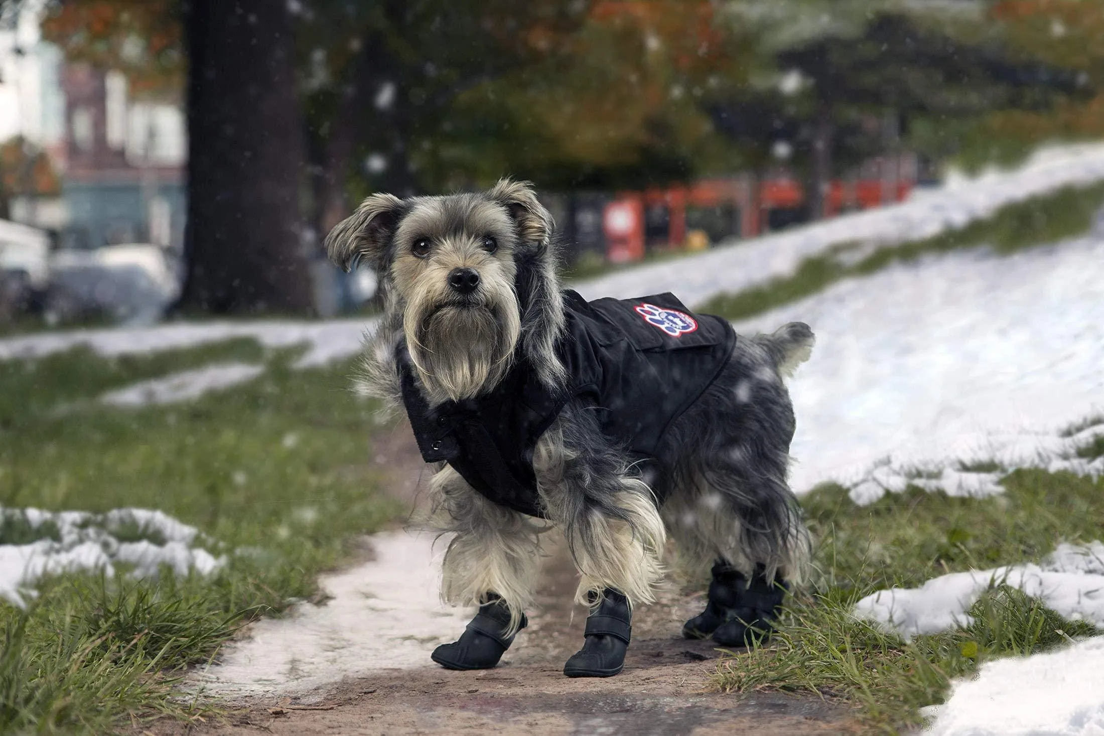 Canada Pooch Everest Explorer Size 26 Black Fleece Lined Insulated Dog Coat