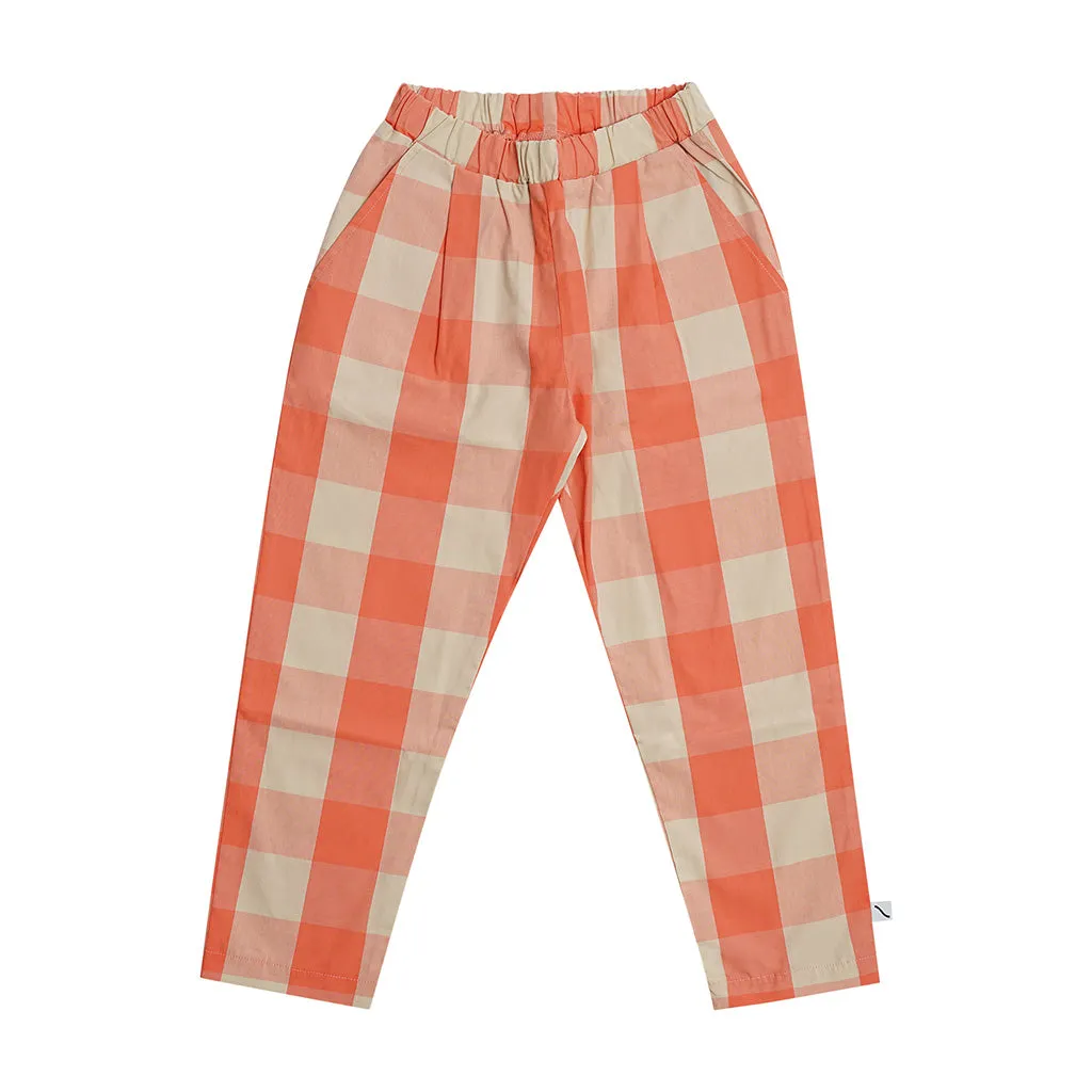 Chino Pleated Checkers