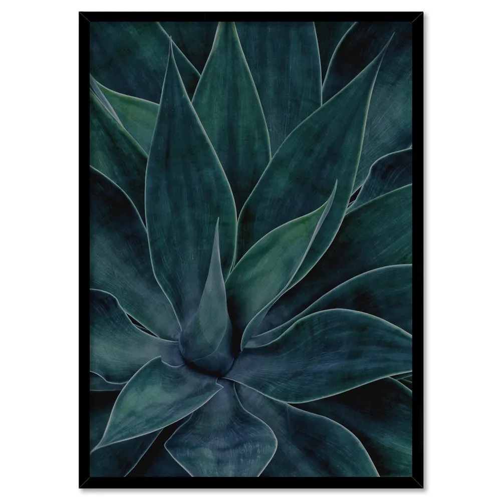 Dark Agave - Art Print