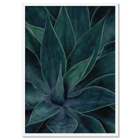 Dark Agave - Art Print