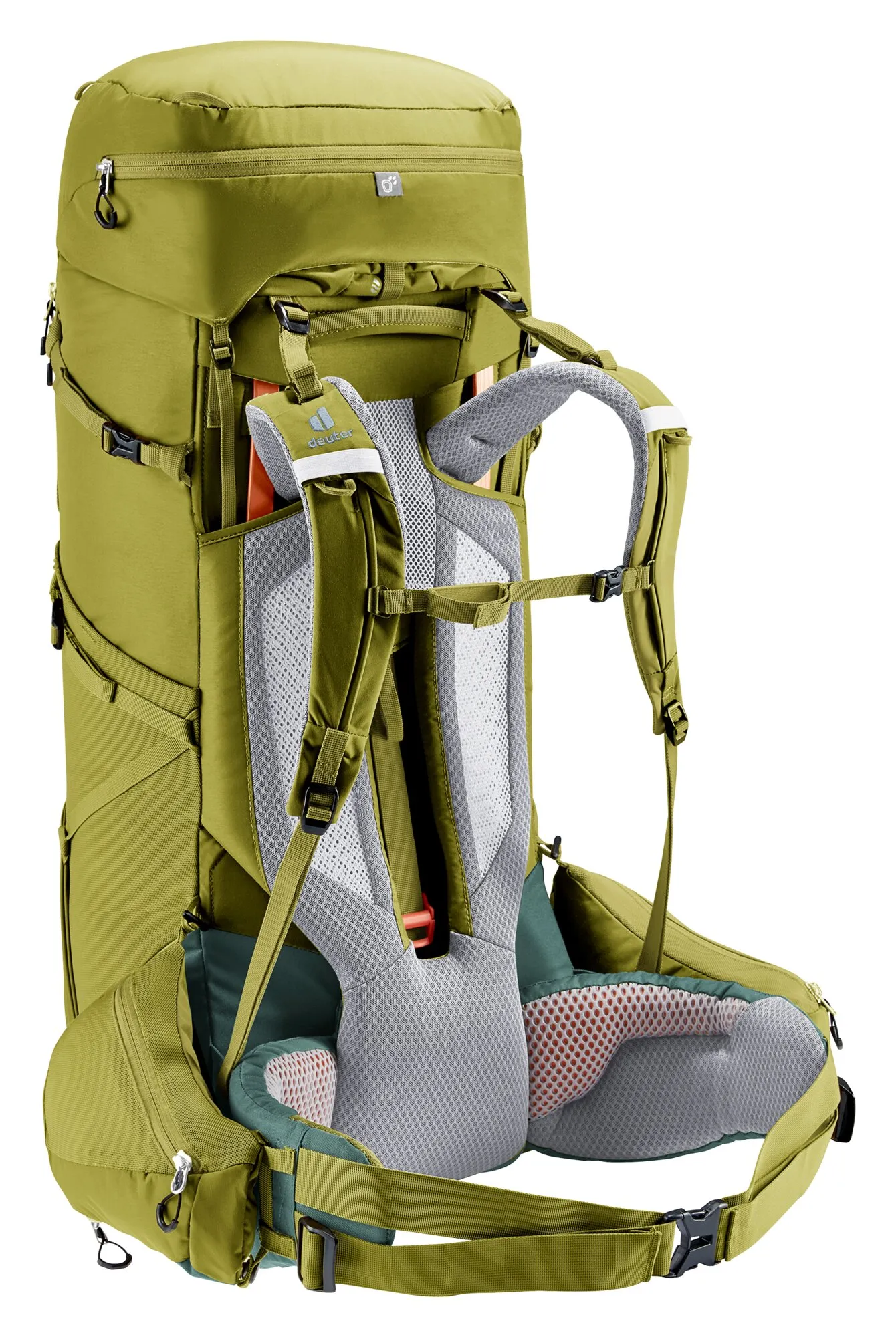 Deuter Aircontact Core 60 10 Cactus-Ivy | Buy Deuter Aircontact Core 60 10 Cactus-Ivy here | Outnorth