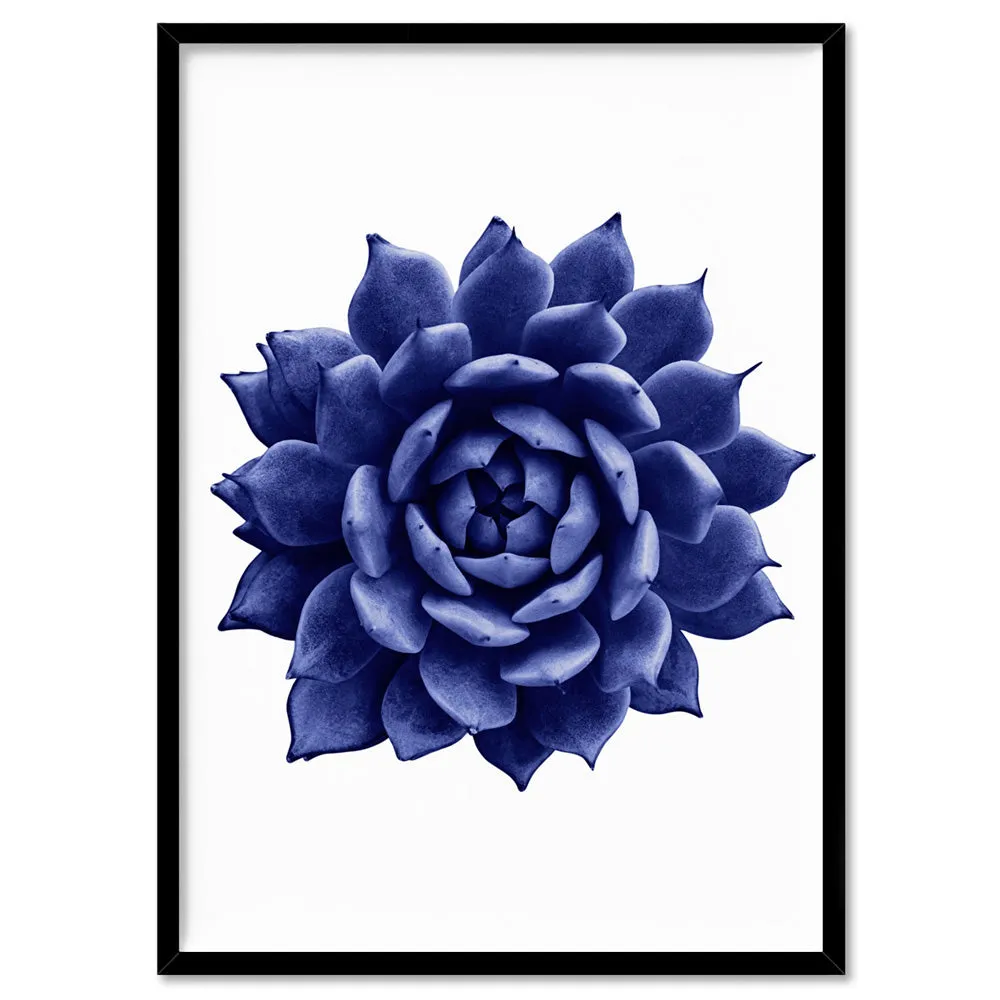 Indigo Succulent I - Art Print