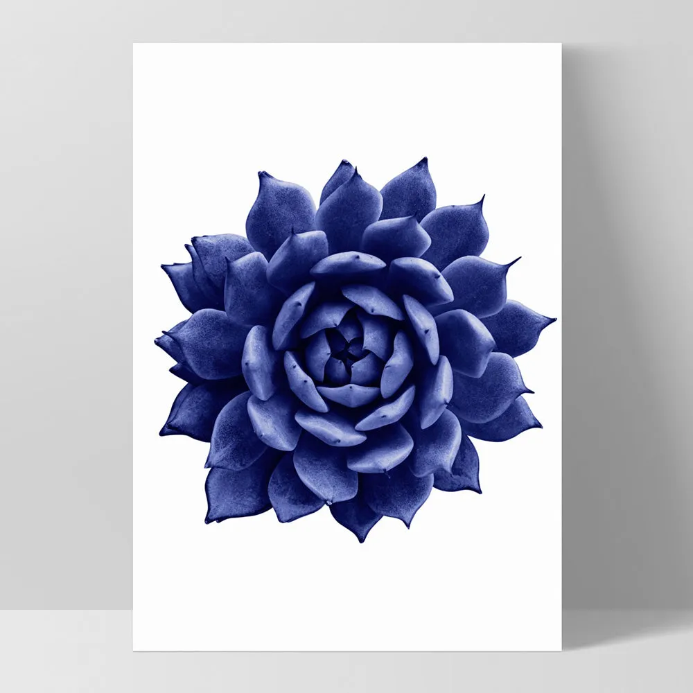 Indigo Succulent I - Art Print