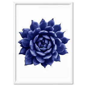 Indigo Succulent I - Art Print