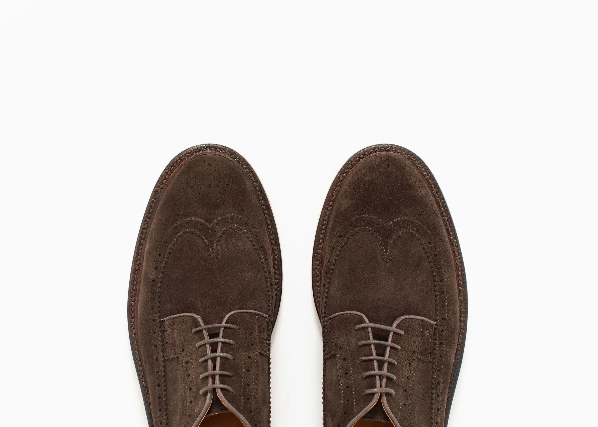 Longwing - Espresso Suede