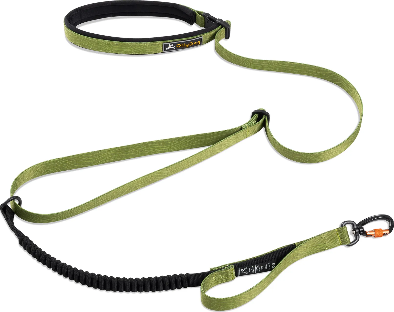 OllyDog Flagstaff Adjustable Spring Leash Cactus | Buy OllyDog Flagstaff Adjustable Spring Leash Cactus here | Outnorth