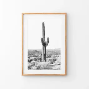 Saguaro Cactus Print. Black White Arizona Desert Nature