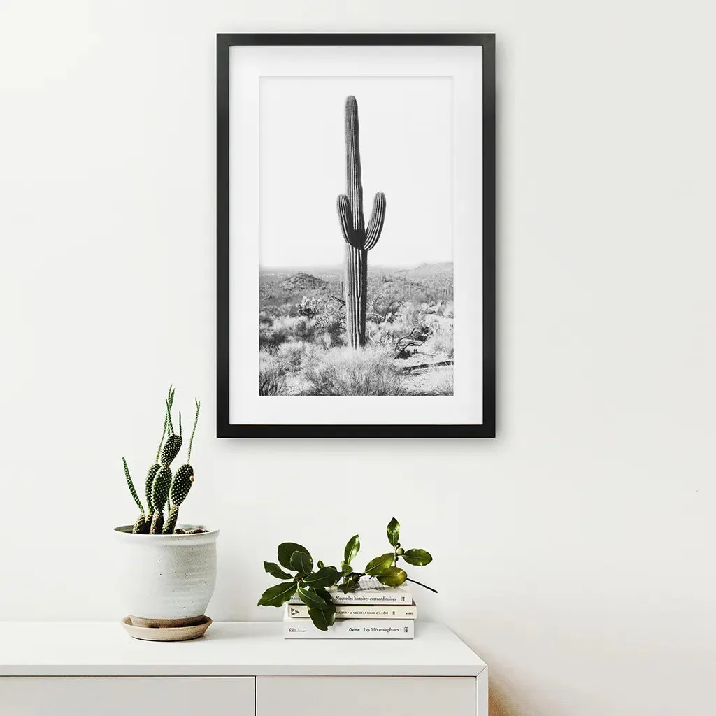 Saguaro Cactus Print. Black White Arizona Desert Nature