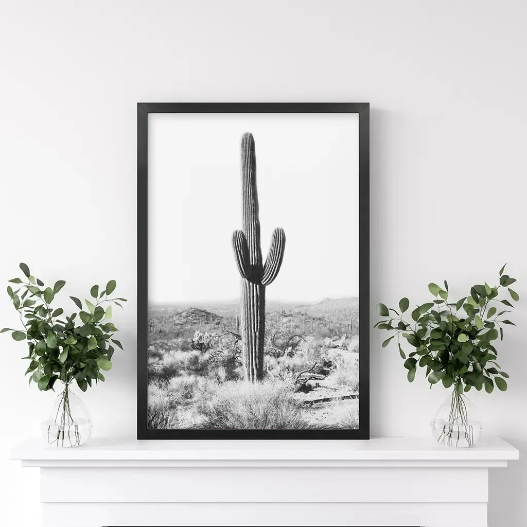 Saguaro Cactus Print. Black White Arizona Desert Nature