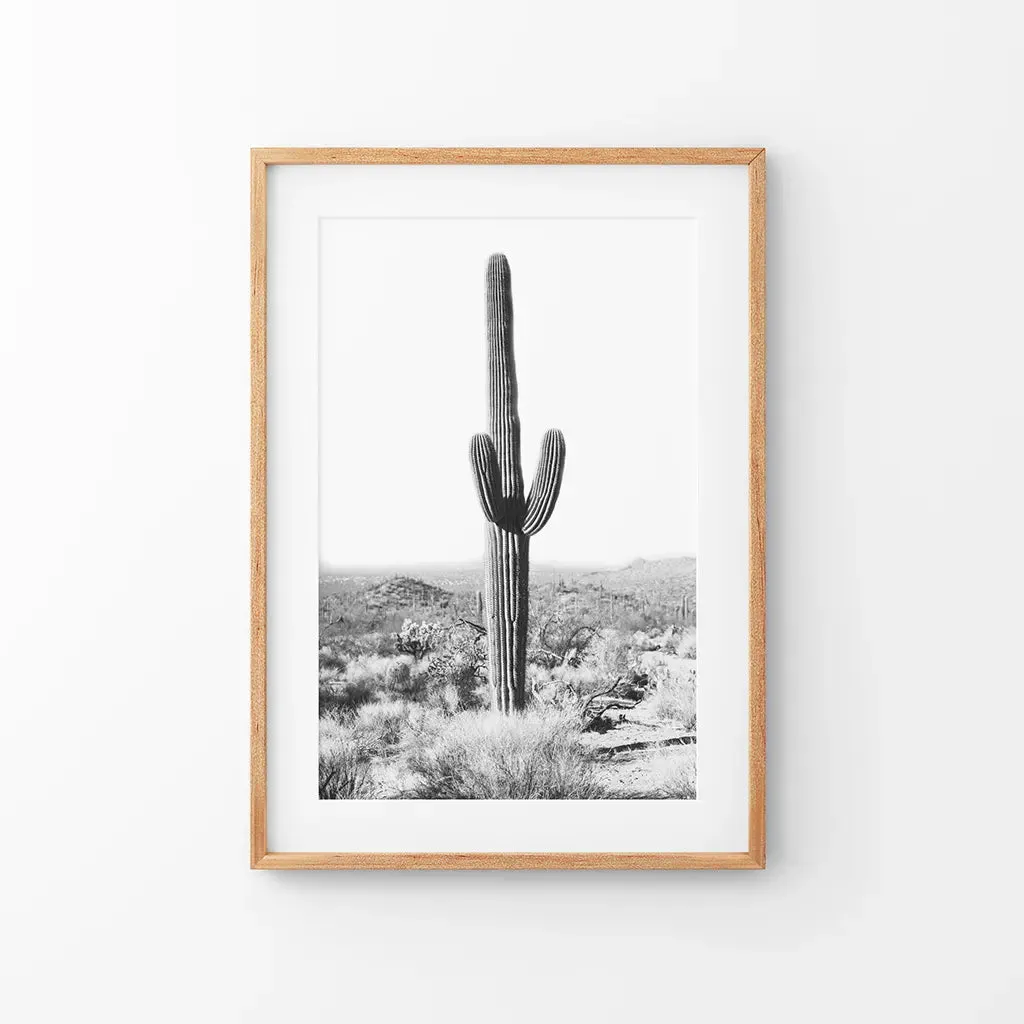 Saguaro Cactus Print. Black White Arizona Desert Nature