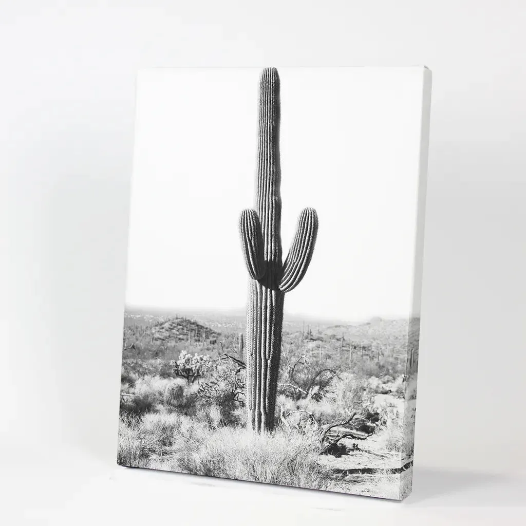 Saguaro Cactus Print. Black White Arizona Desert Nature