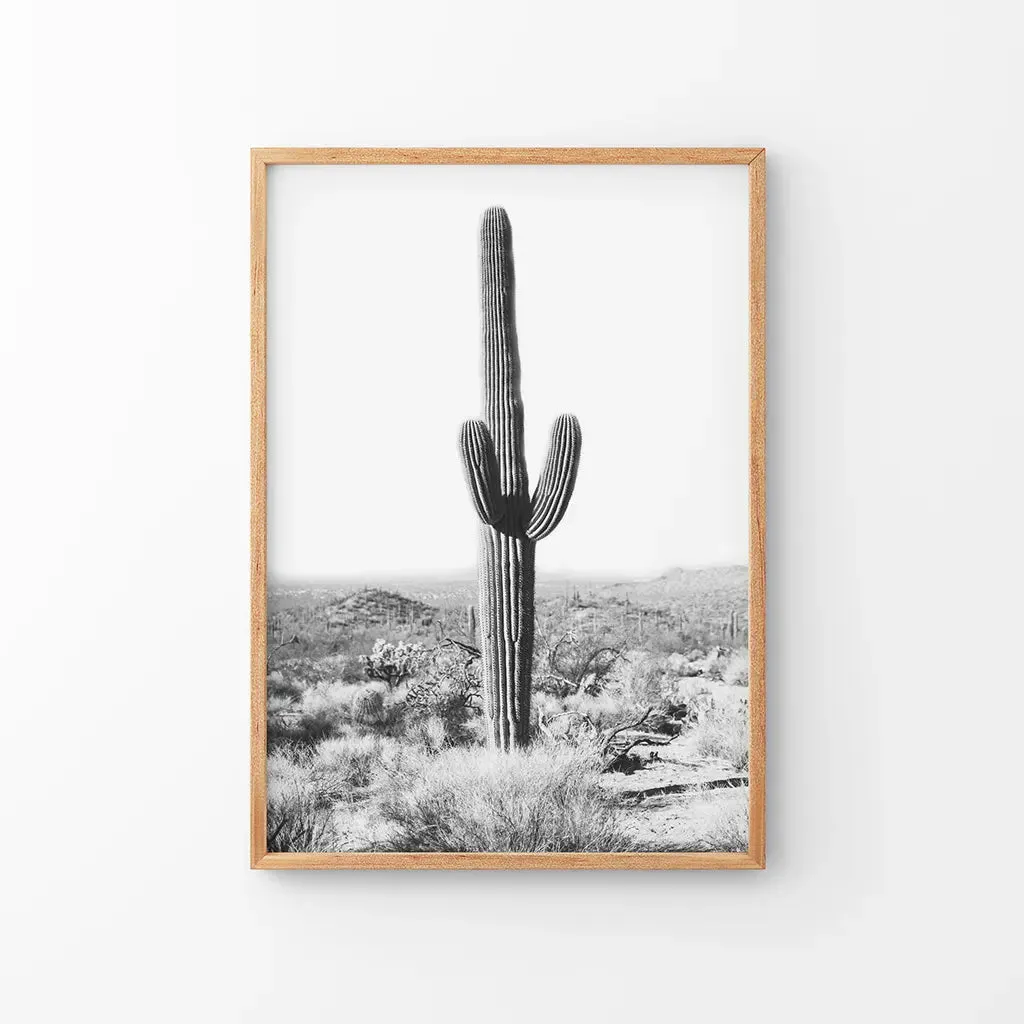 Saguaro Cactus Print. Black White Arizona Desert Nature