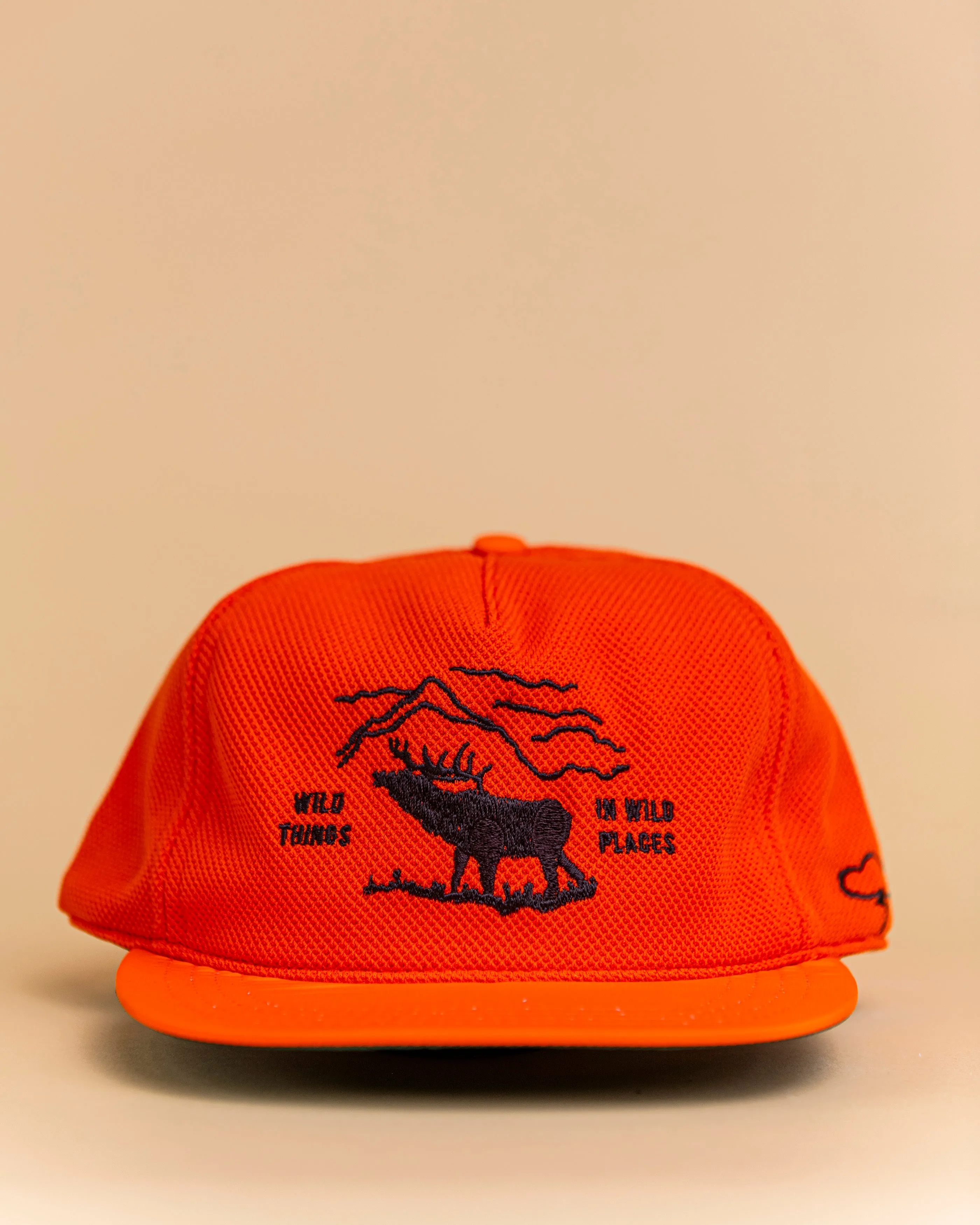 Wild Places Strapback Hat