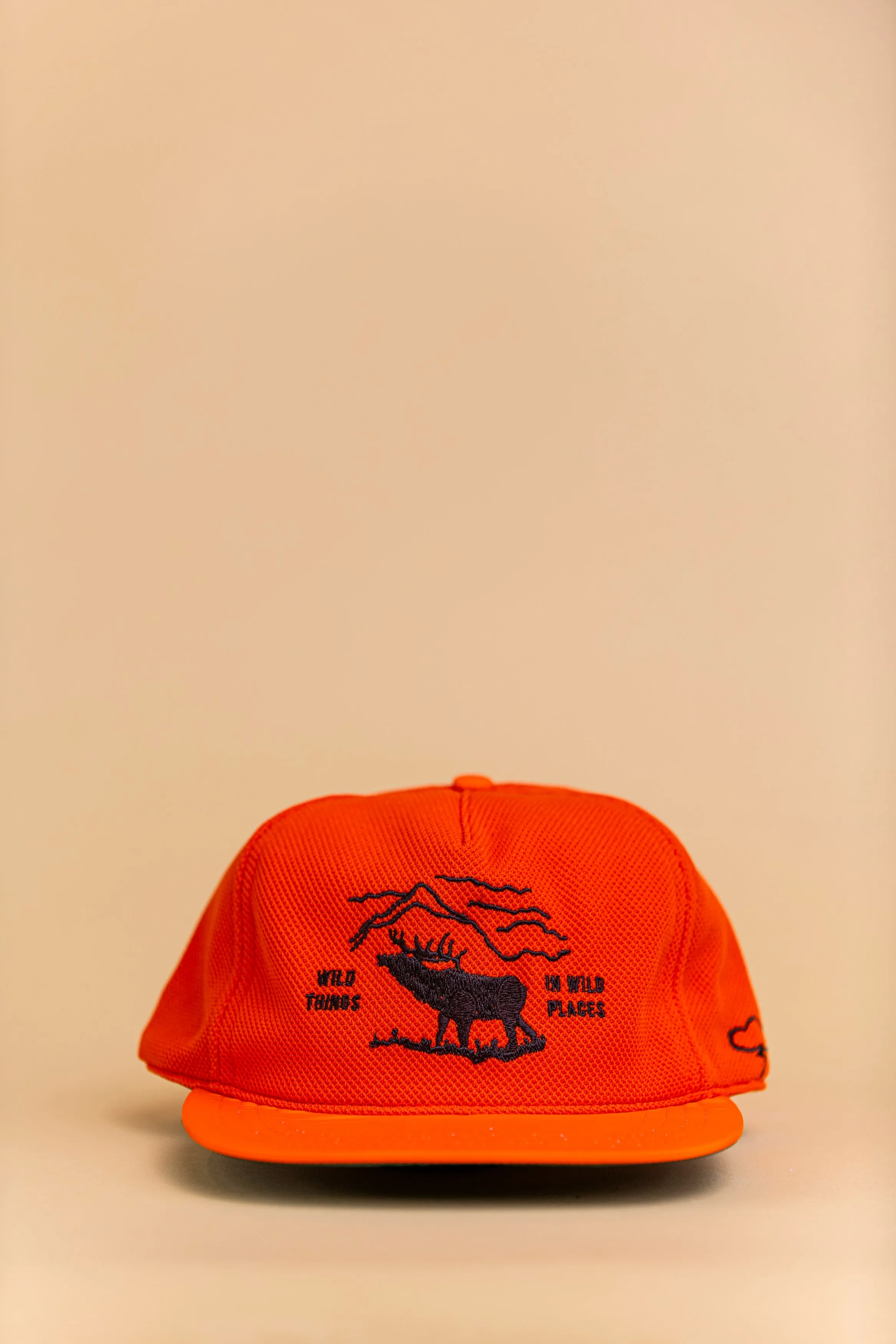 Wild Places Strapback Hat