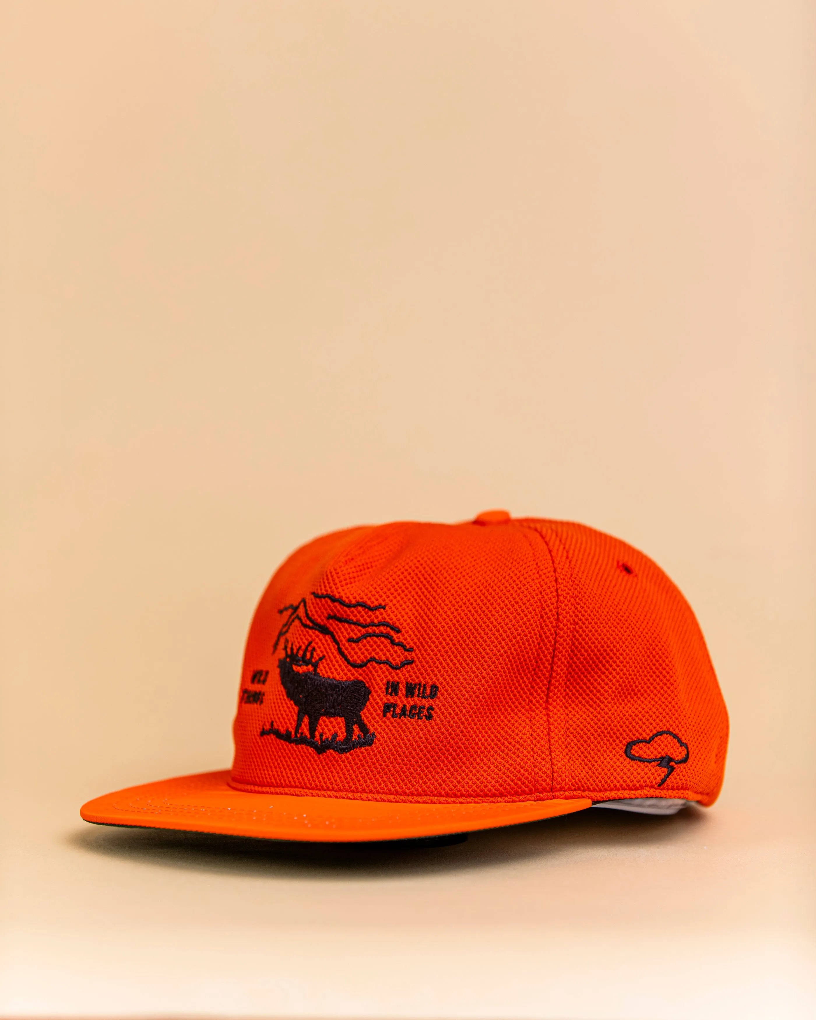 Wild Places Strapback Hat